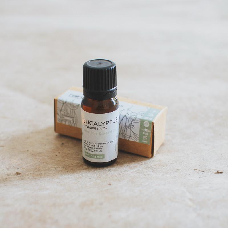 essential oil eucalyptus-Rain Africa