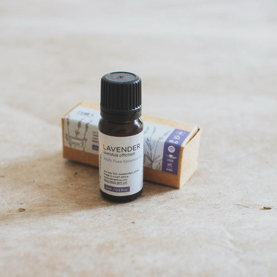 essential oil lavender-Rain Africa