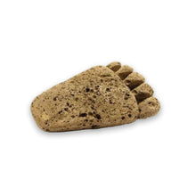  pumice stone - foot